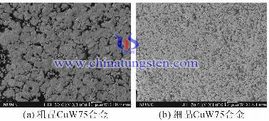 75W25Cu鎢銅金相圖
