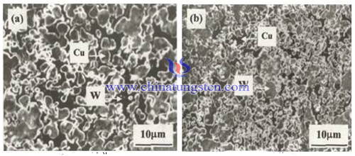 鎢銅FGM顯微結構圖片