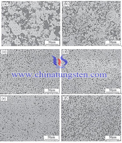 钨铜棒金相图